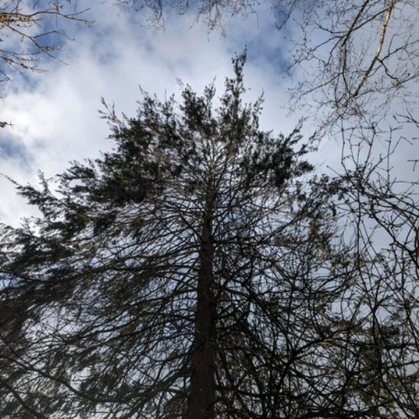 PHOTO-2024-01-25-16-15-482)